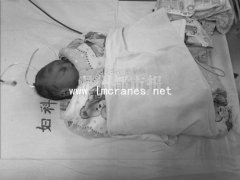  <b>17����Ů������Ӥ ����������ճ��س����ϰ�(ͼ)|���۵�</b>