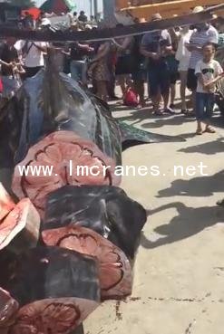 平衡吊,<a href='http://www.lmcranes.net/plus/list.php?tid=18' target='_blank'><u>悬臂吊</u></a>,<a href='http://www.lmcranes.net/a/3/3-1/2015/0618/488.html' target='_blank'><u>旋臂吊</u></a>,<a href='http://www.lmcranes.net/plus/list.php?tid=19' target='_blank'><u>KBK悬挂起重机</u></a>,靖江<a href='http://www.lmcranes.net' target='_blank'><u>龙马起重</u></a>